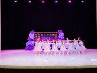 ������ � �������������� ��������-������� �Team Fest�